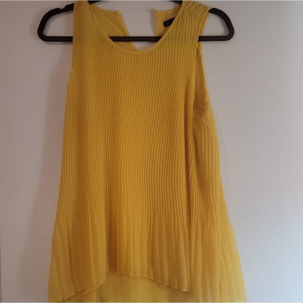Zara Pleated Top